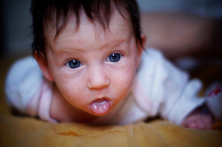 Illustration for article titled Take Your Newborn to a Photographer Whom Concentrates on Photographing Babies